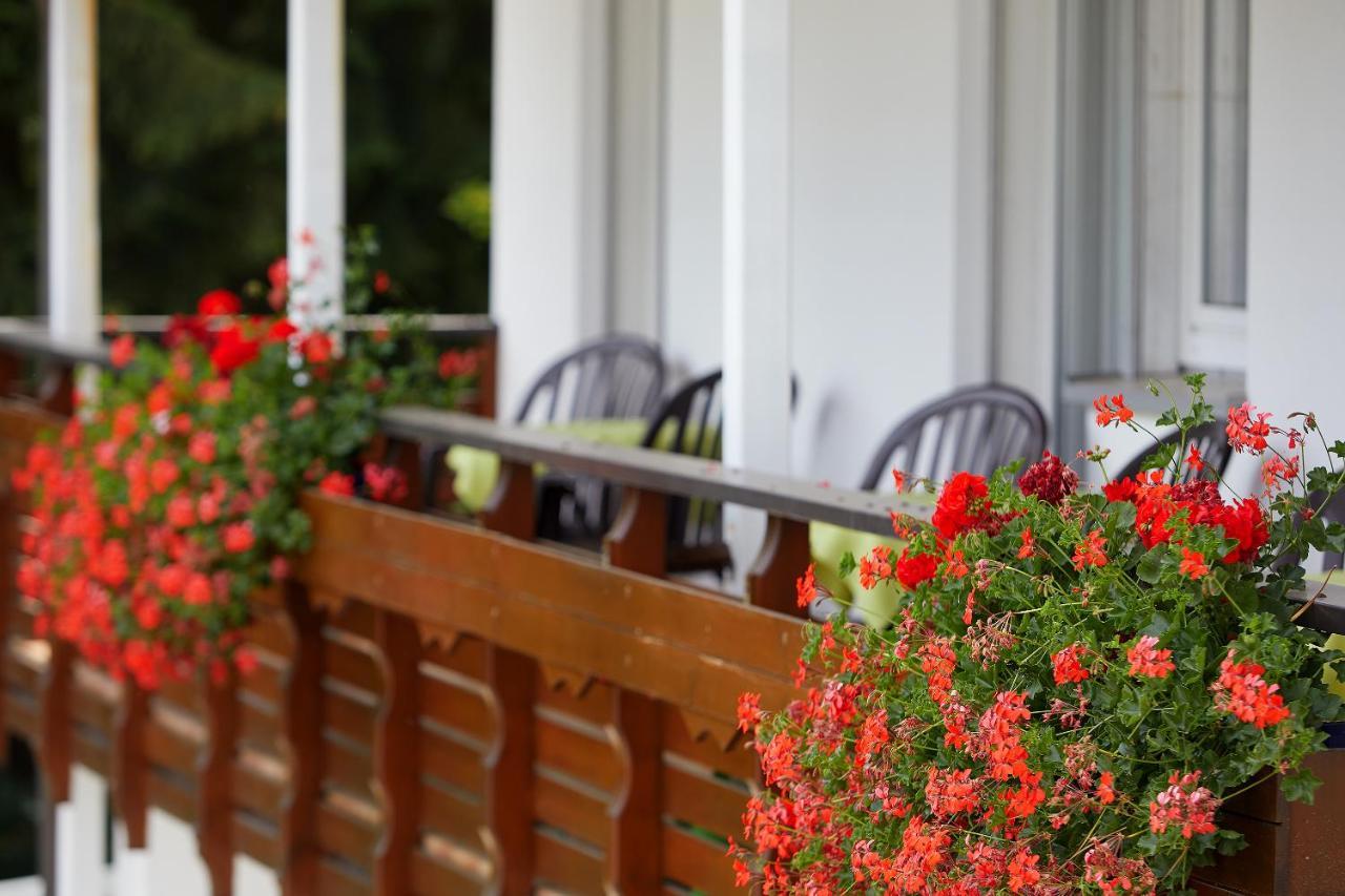 Tannmuehle Hotel Und Restaurant Gmbh Callenberg Экстерьер фото